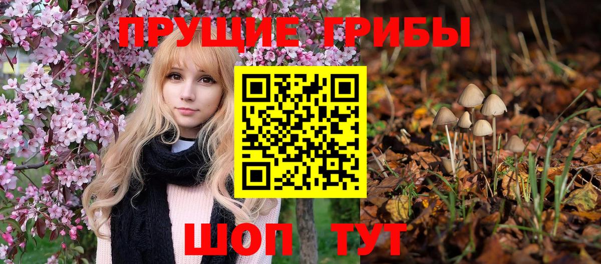 купить наркотики цена  Рязань  Псилоцибиновые грибы Cubensis  Галлюциногенные грибы мицелий 