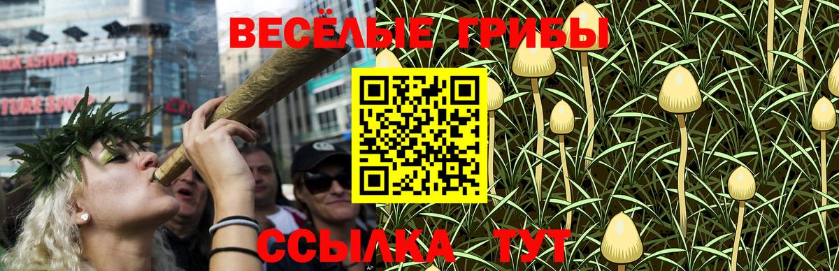 Рязань  Галлюциногенные грибы мицелий  Вход с VPN 